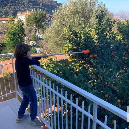 La Terrazza Family Holidays - Sorrento Coast Sant'Agnello Exterior photo